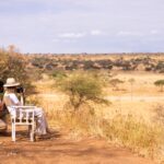 Budget-Friendly Tanzania Safari Options From Dubai